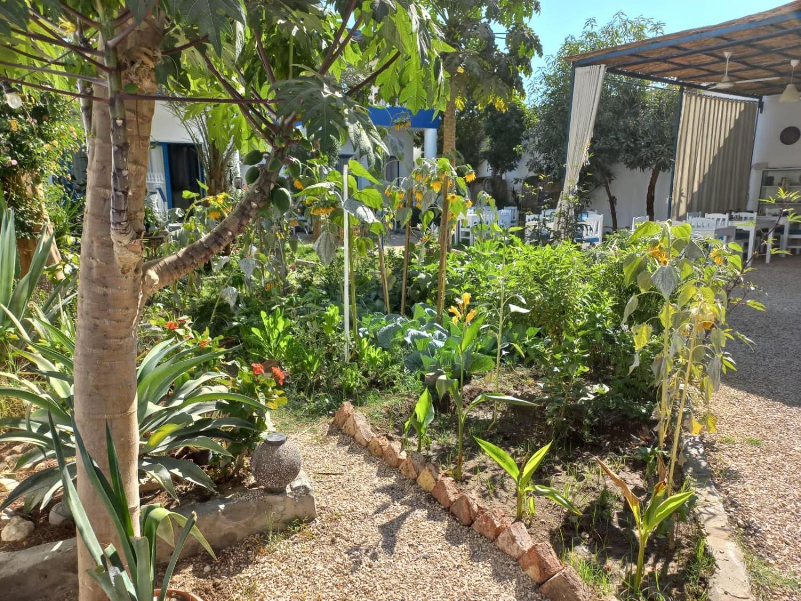 לוקסור Villa Kaslan Apartments מראה חיצוני תמונה