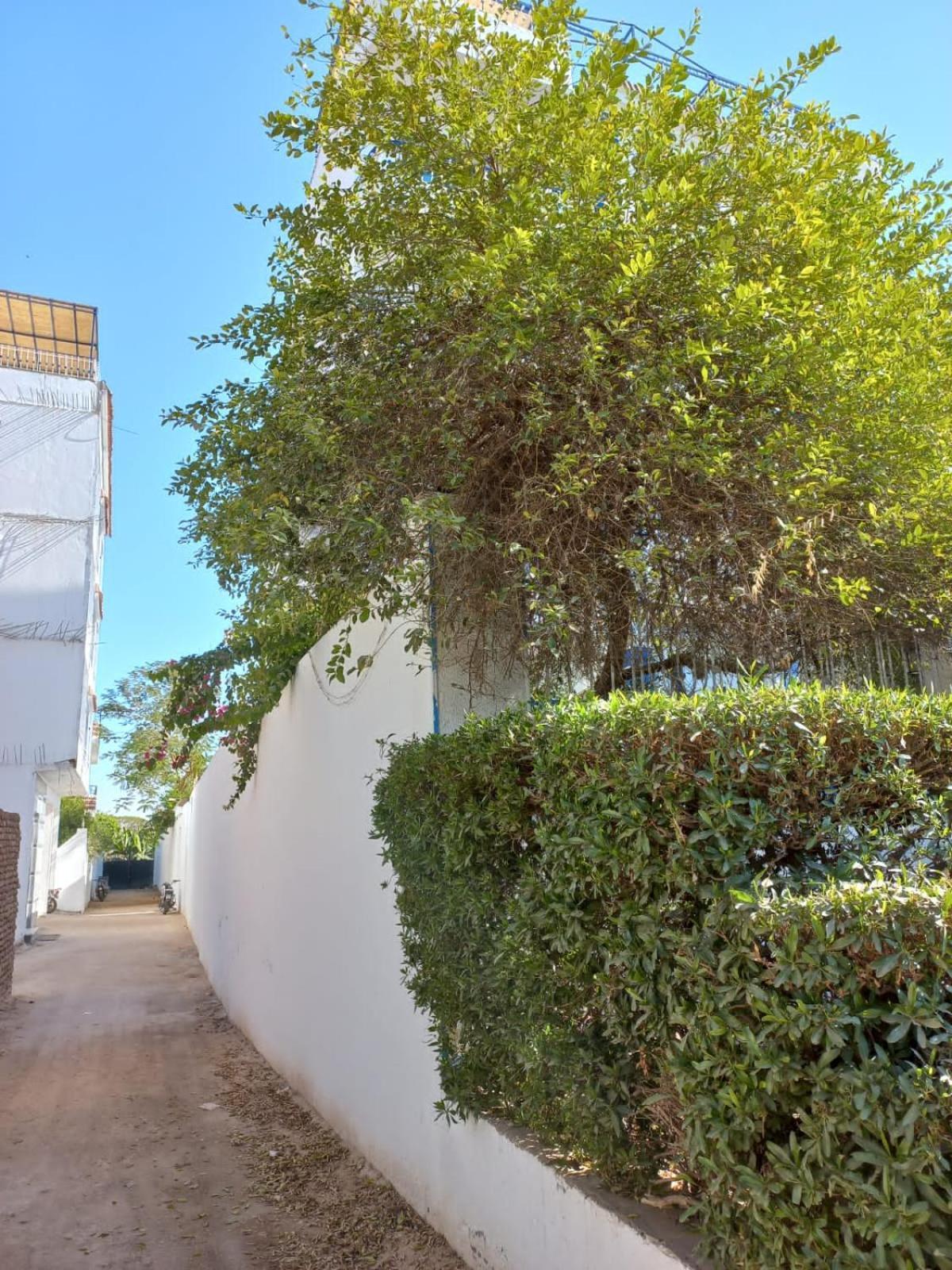 לוקסור Villa Kaslan Apartments מראה חיצוני תמונה